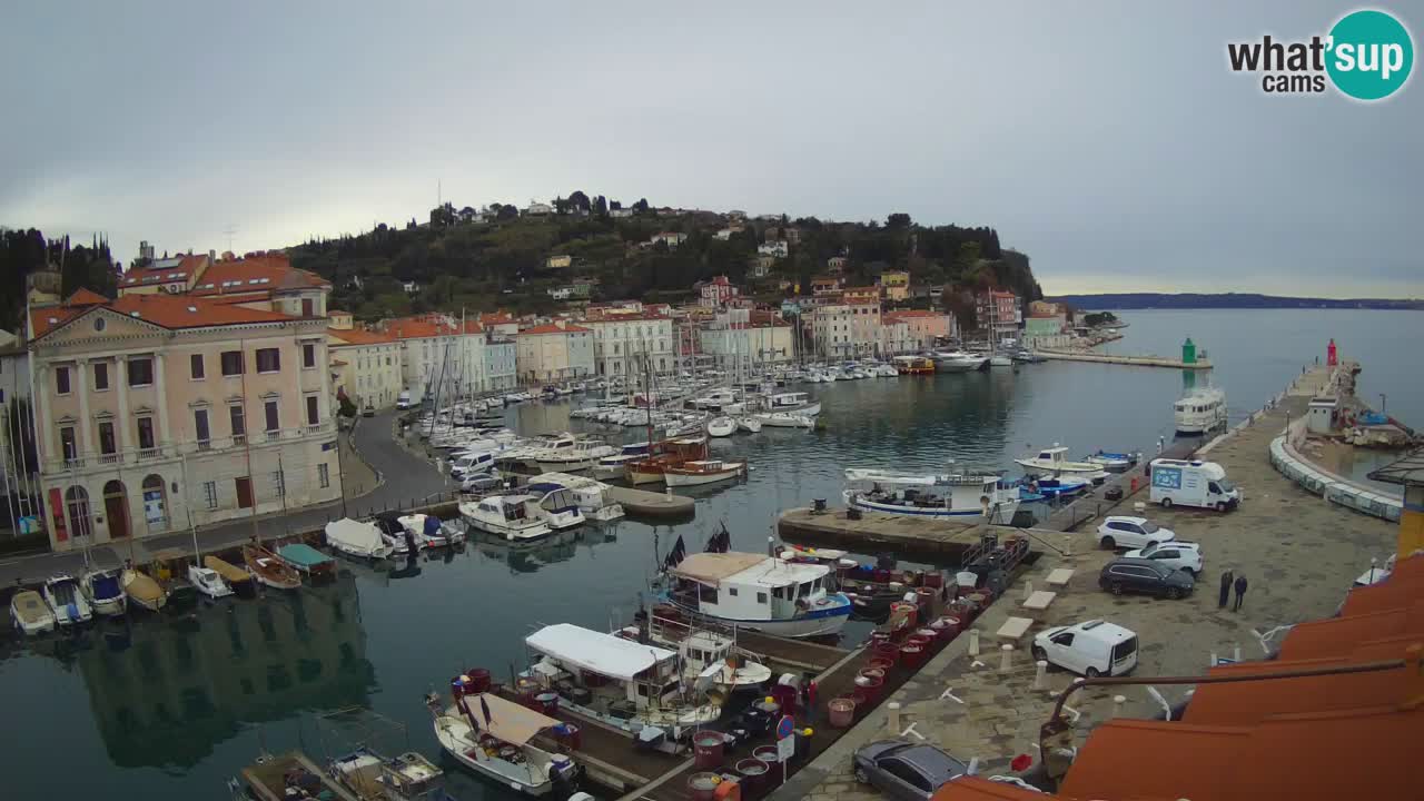 Live-Webcam aus Piran “Mandrač” – Erstaunliche Live-Ansicht von Villa Piranesi