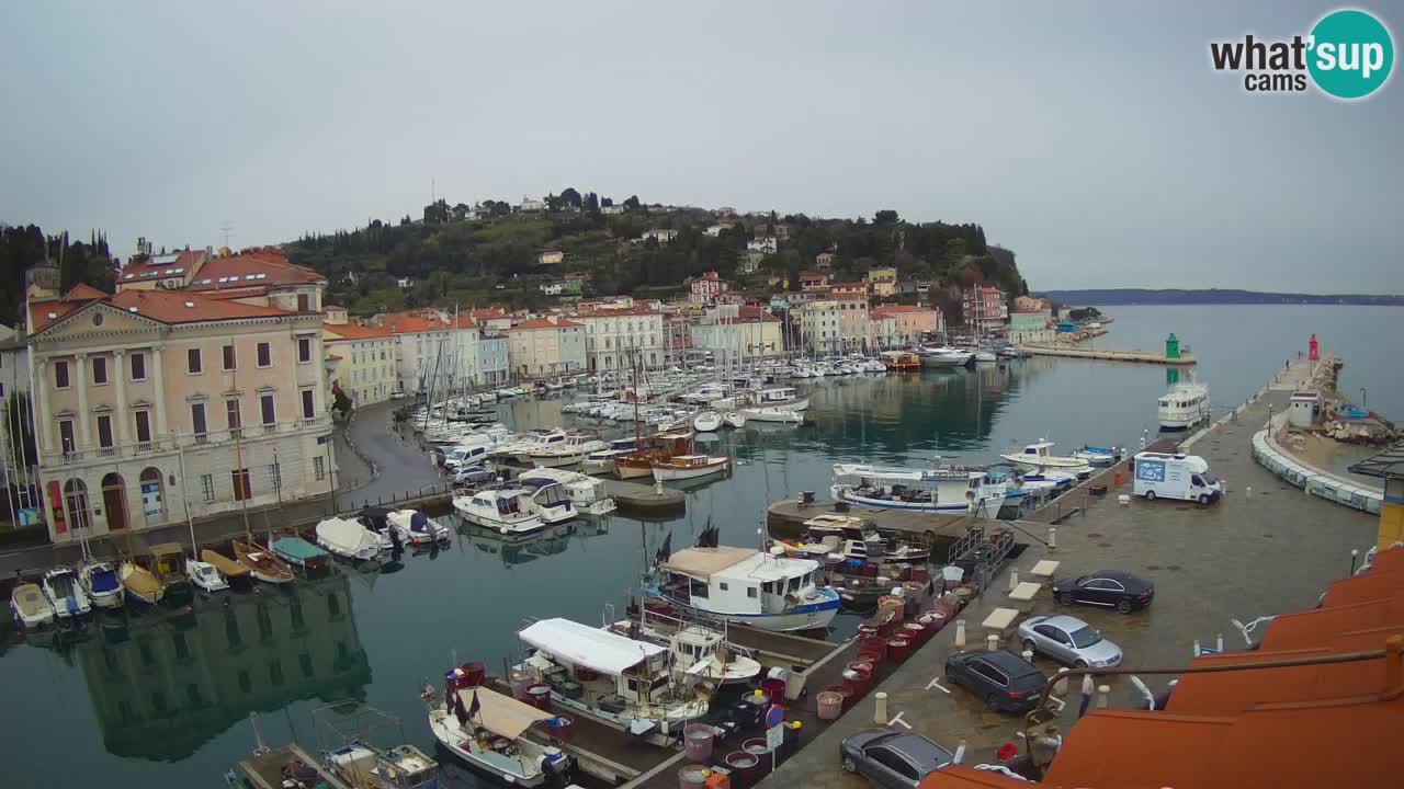 Webcam en direct de Piran “Mandrač” – Incroyable vue en direct de la Villa Piranesi