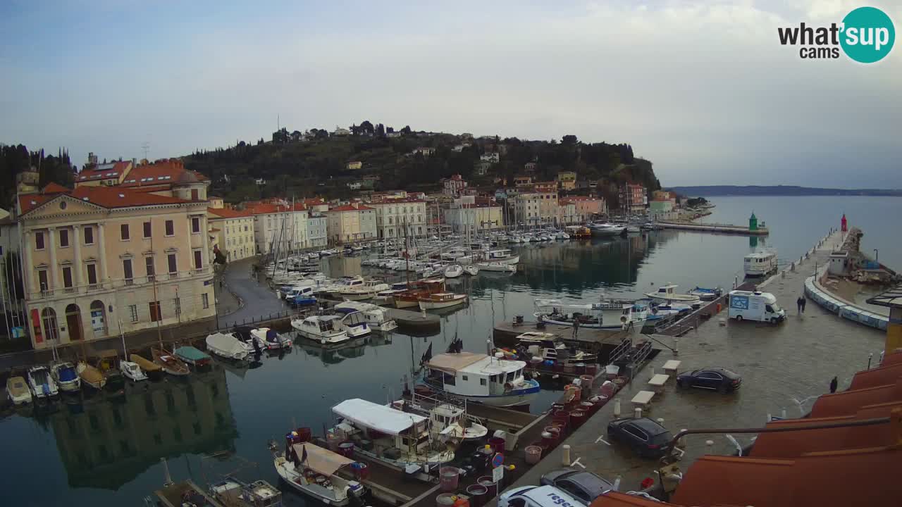 Live-Webcam aus Piran “Mandrač” – Erstaunliche Live-Ansicht von Villa Piranesi