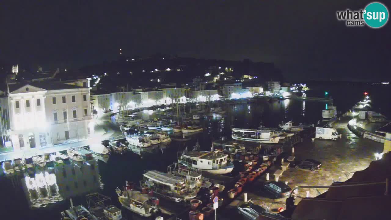 Iz Pirana Spletna kamera v živo “Mandrač” – Neverjeten pogled v živo iz Vile Piranesi