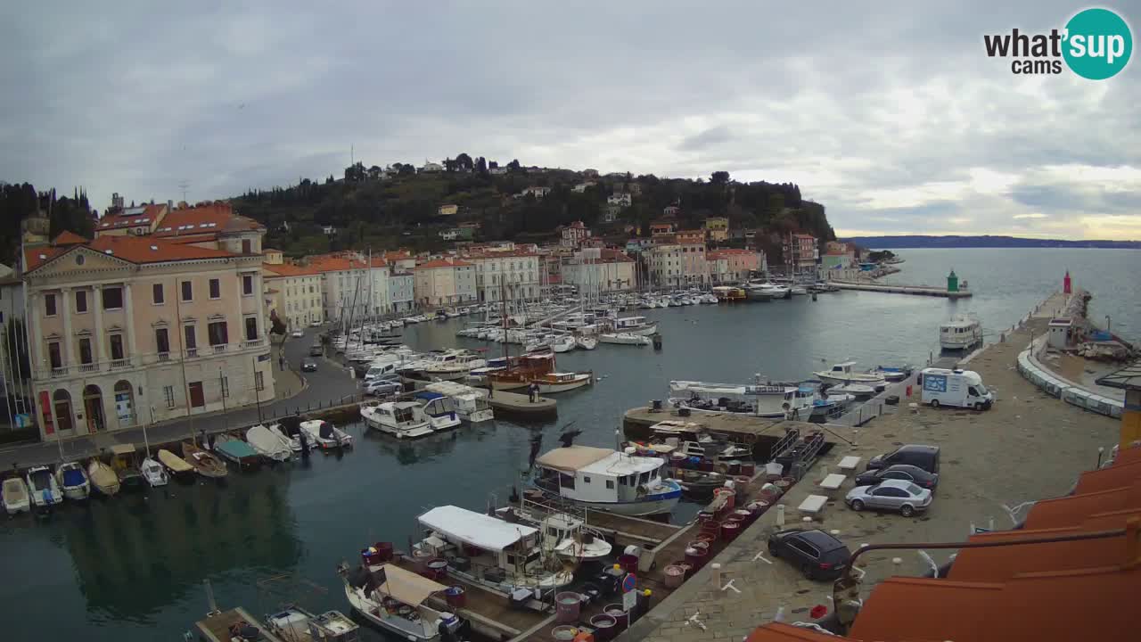 Webcam en direct de Piran “Mandrač” – Incroyable vue en direct de la Villa Piranesi