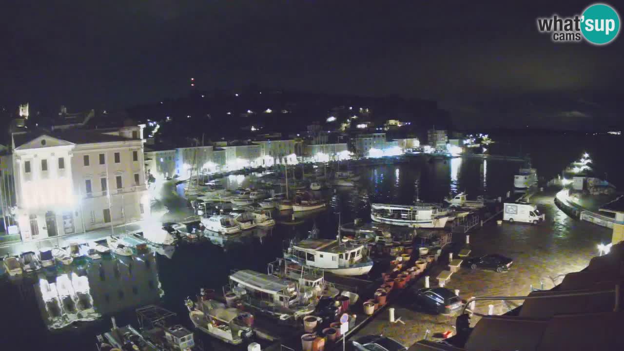 Iz Pirana Spletna kamera v živo “Mandrač” – Neverjeten pogled v živo iz Vile Piranesi
