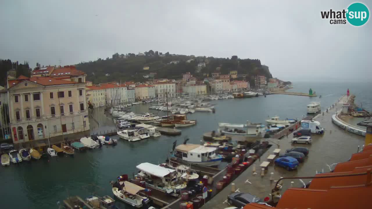 Iz Pirana Spletna kamera v živo “Mandrač” – Neverjeten pogled v živo iz Vile Piranesi