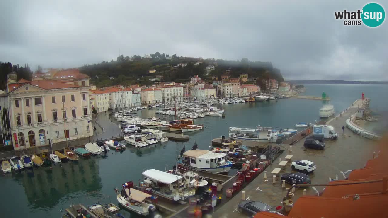 Iz Pirana Spletna kamera v živo “Mandrač” – Neverjeten pogled v živo iz Vile Piranesi