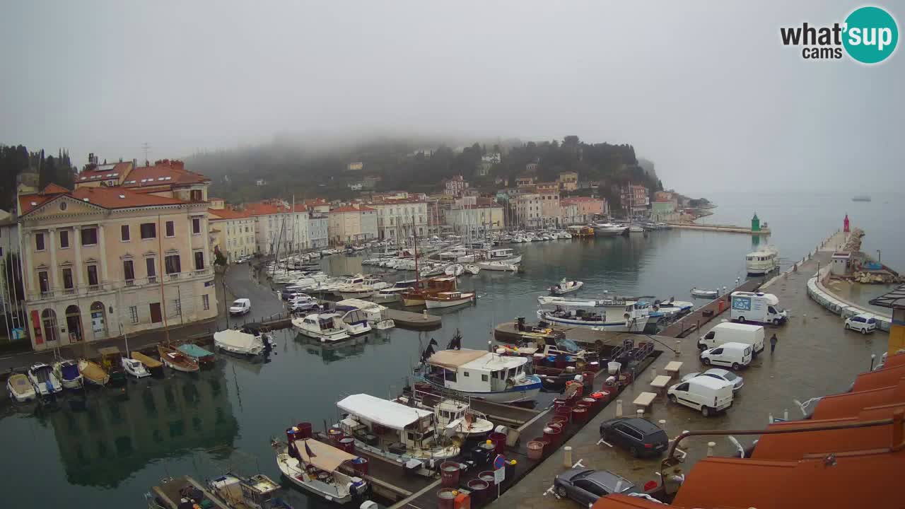 Live webcam from Piran “Mandrač” – Amazing live view from Villa Piranesi