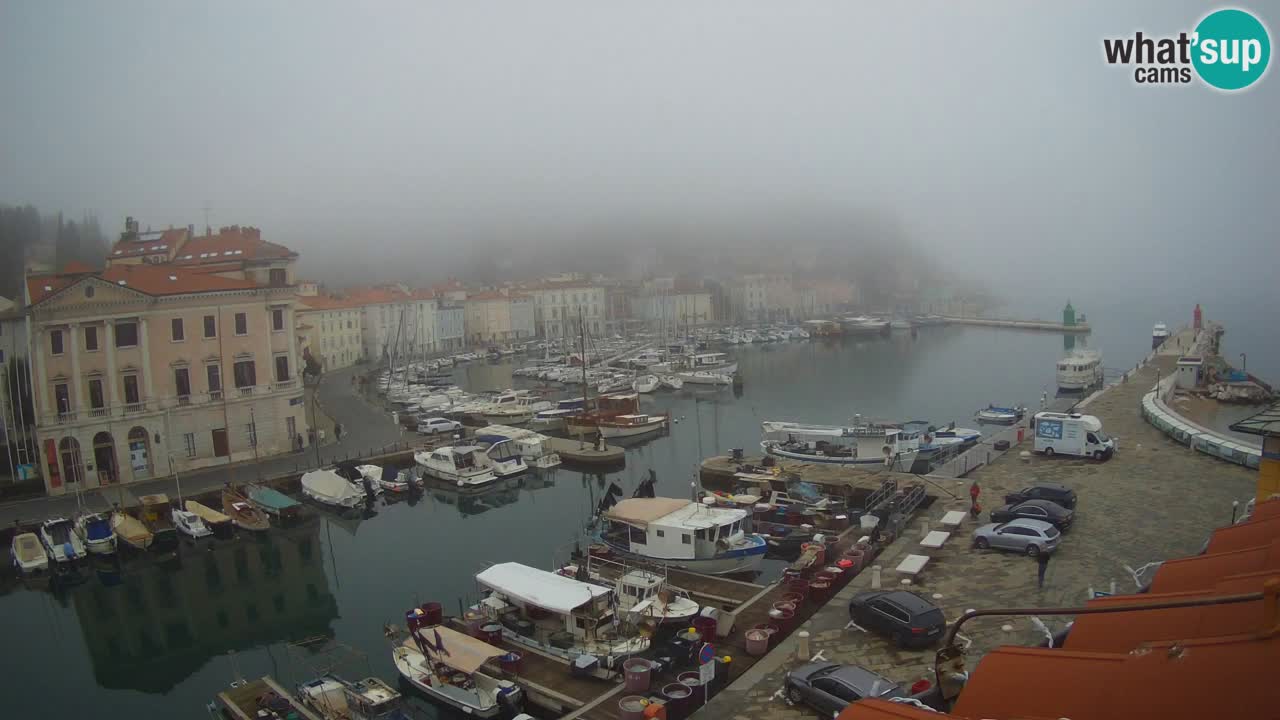 Webcam en direct de Piran “Mandrač” – Incroyable vue en direct de la Villa Piranesi