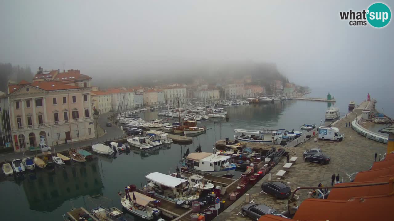 Web kamera uživo iz Pirana “Mandrač” – Nevjerojatan pogled uživo iz Ville Piranesi