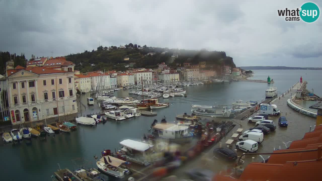 Live webcam from Piran “Mandrač” – Amazing live view from Villa Piranesi