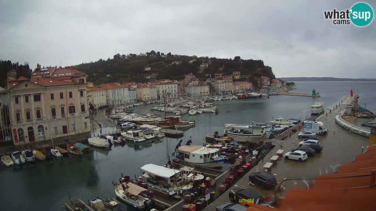 Live webcam from Piran “Mandrač” – Amazing live view from Villa Piranesi