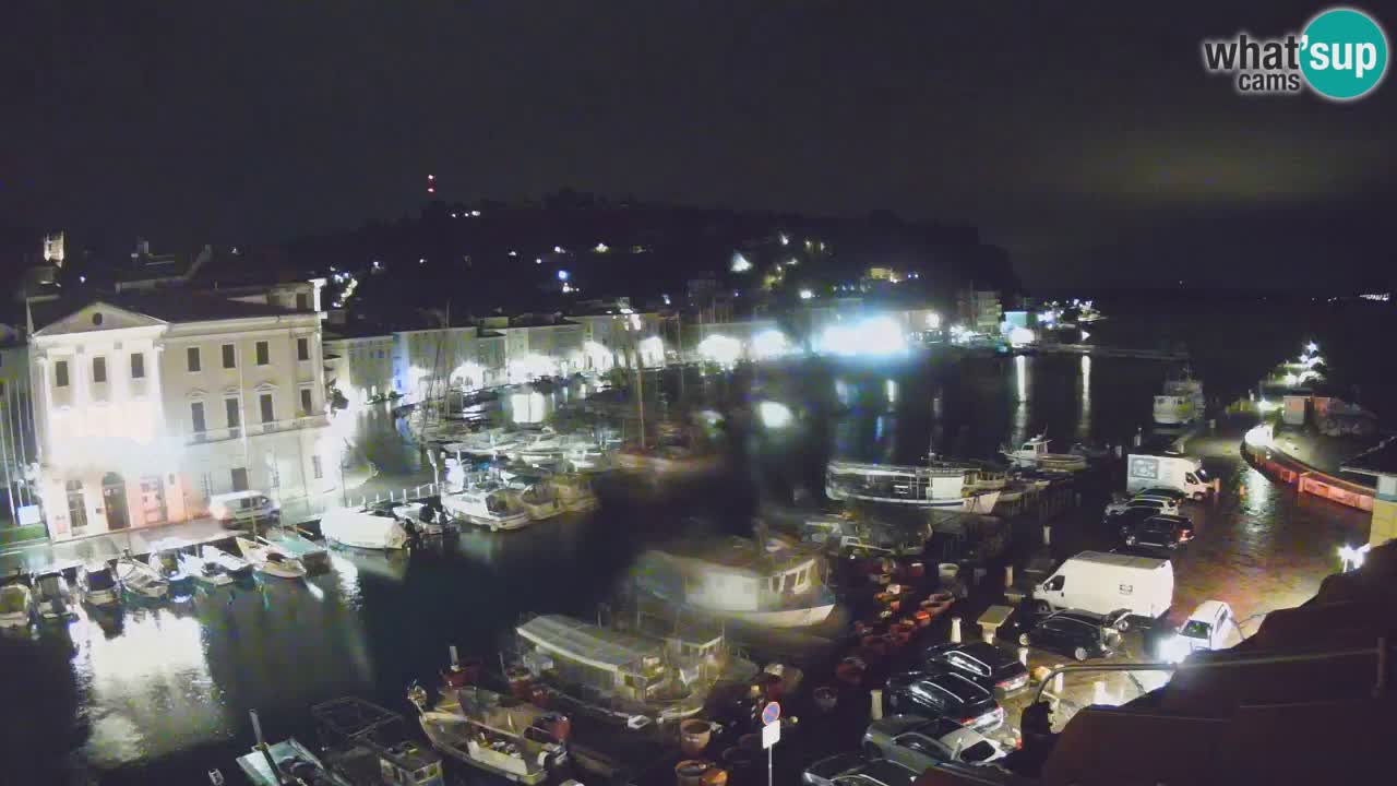 Iz Pirana Spletna kamera v živo “Mandrač” – Neverjeten pogled v živo iz Vile Piranesi