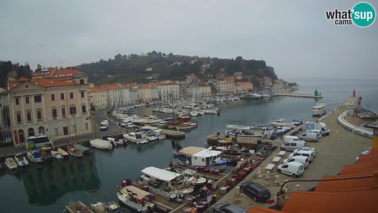 Live webcam da Pirano “Mandrač” – Splendida vista live da Villa Piranesi