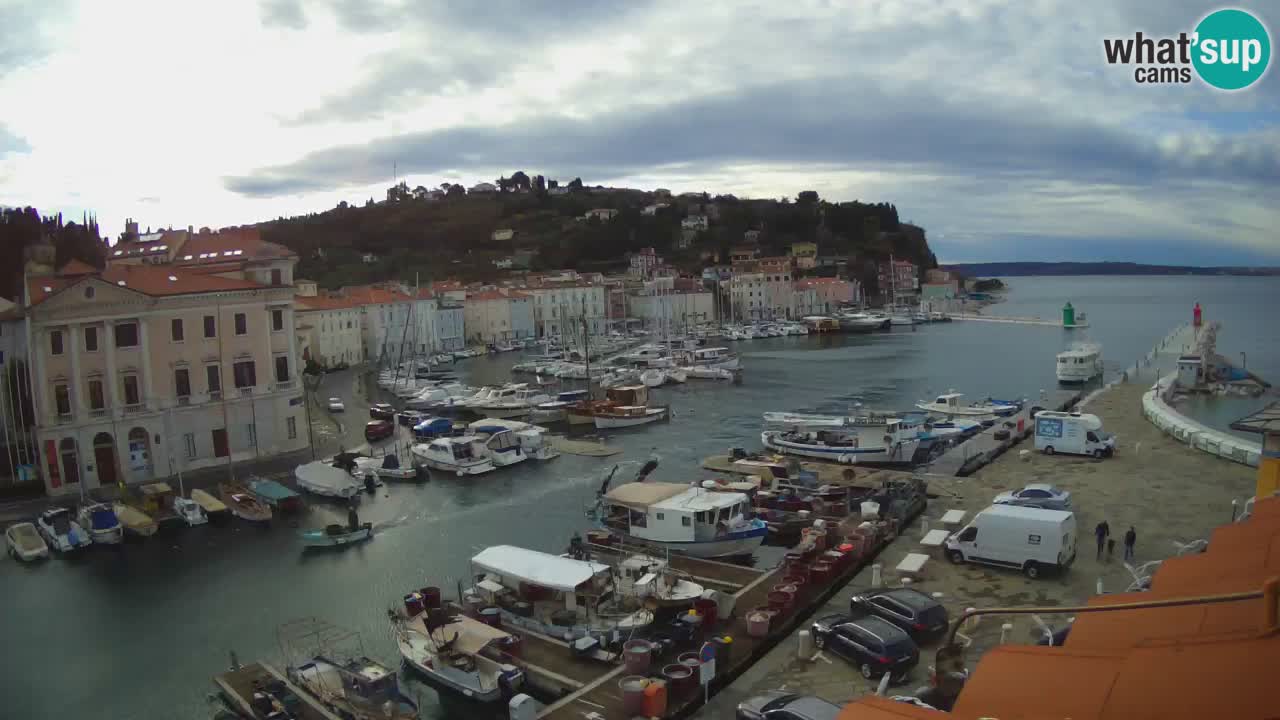 Iz Pirana Spletna kamera v živo “Mandrač” – Neverjeten pogled v živo iz Vile Piranesi