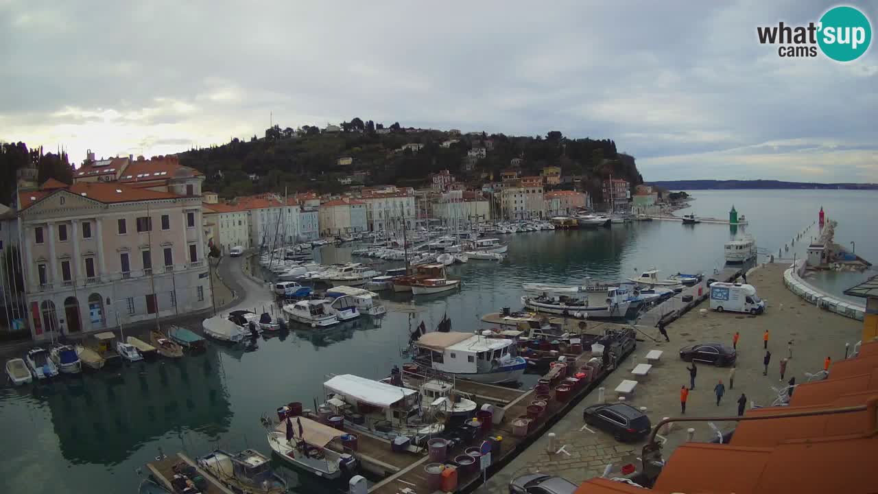 Live-Webcam aus Piran “Mandrač” – Erstaunliche Live-Ansicht von Villa Piranesi
