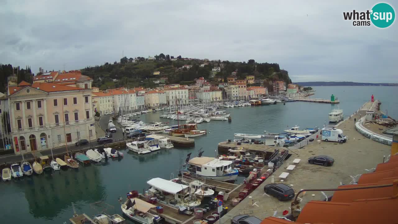 Live-Webcam aus Piran “Mandrač” – Erstaunliche Live-Ansicht von Villa Piranesi