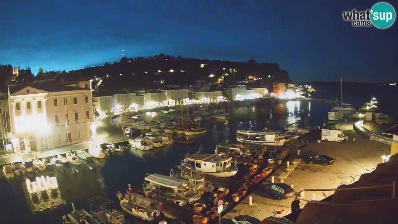 Web kamera uživo iz Pirana “Mandrač” – Nevjerojatan pogled uživo iz Ville Piranesi