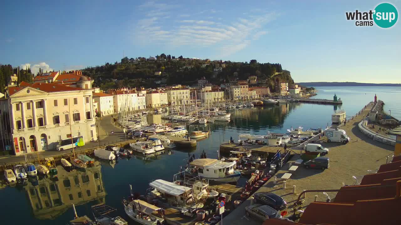 Iz Pirana Spletna kamera v živo “Mandrač” – Neverjeten pogled v živo iz Vile Piranesi