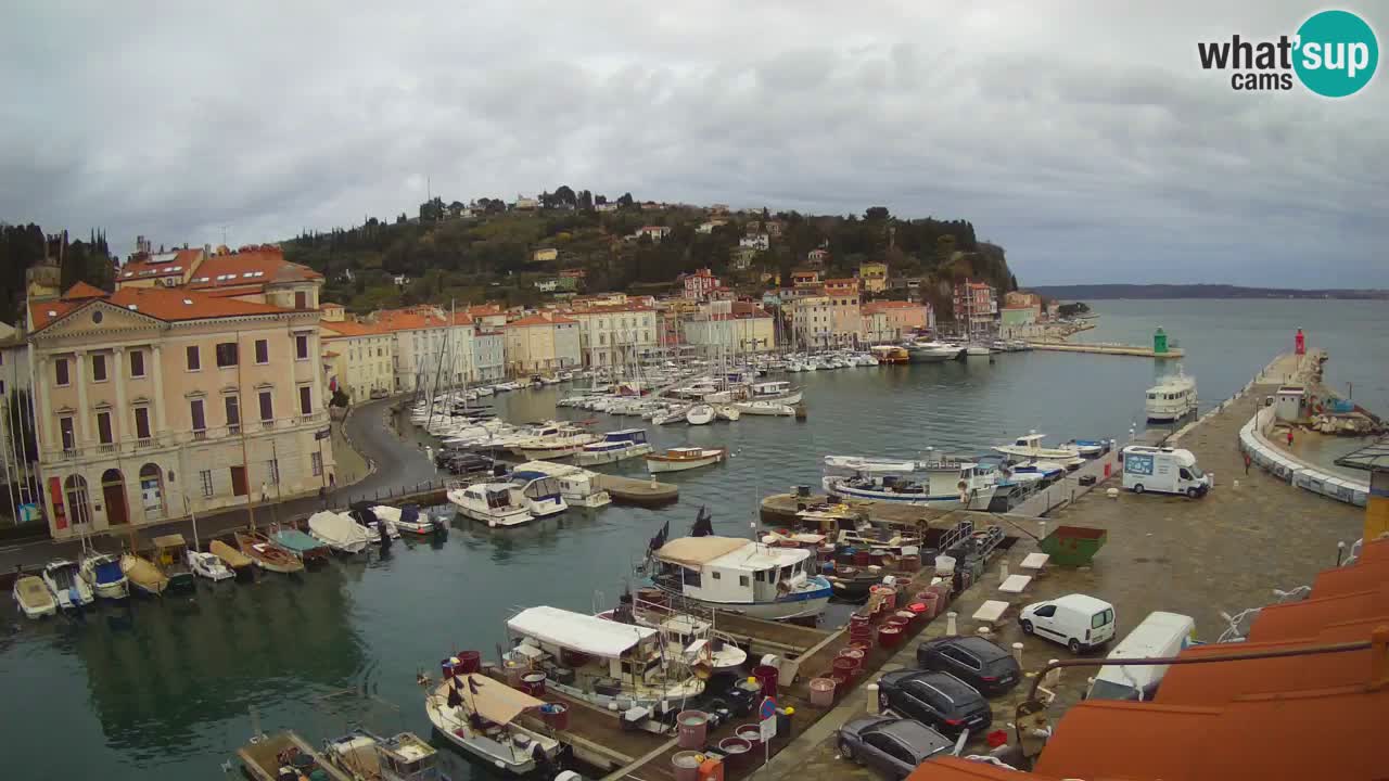 Live webcam from Piran “Mandrač” – Amazing live view from Villa Piranesi