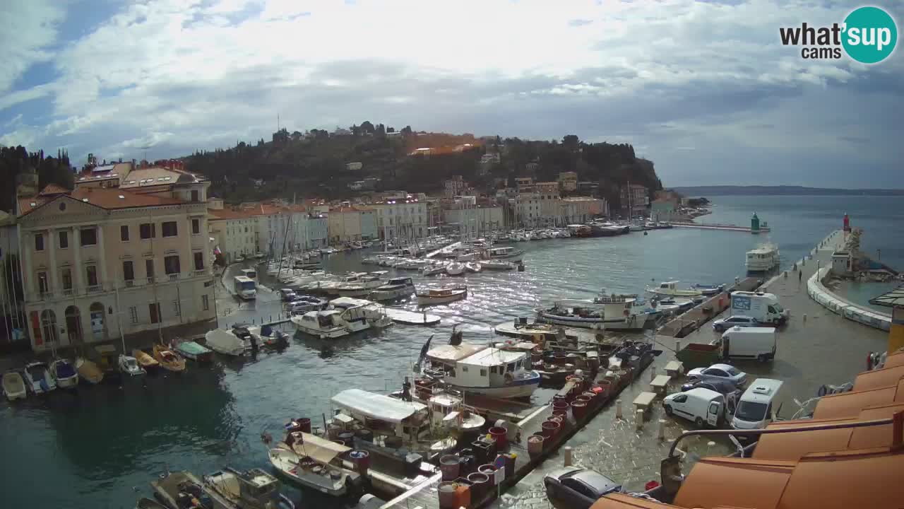 Iz Pirana Spletna kamera v živo “Mandrač” – Neverjeten pogled v živo iz Vile Piranesi