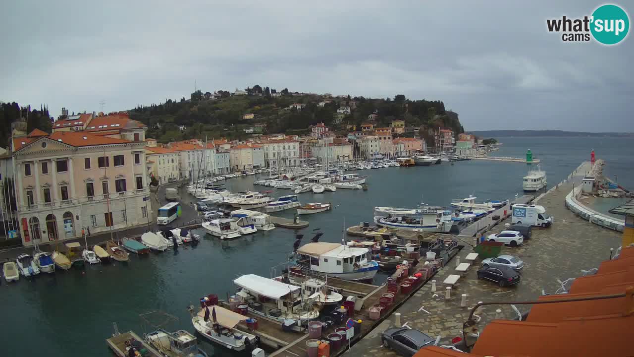 Iz Pirana Spletna kamera v živo “Mandrač” – Neverjeten pogled v živo iz Vile Piranesi