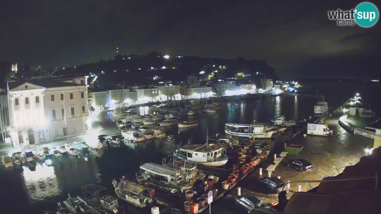 Web kamera uživo iz Pirana “Mandrač” – Nevjerojatan pogled uživo iz Ville Piranesi