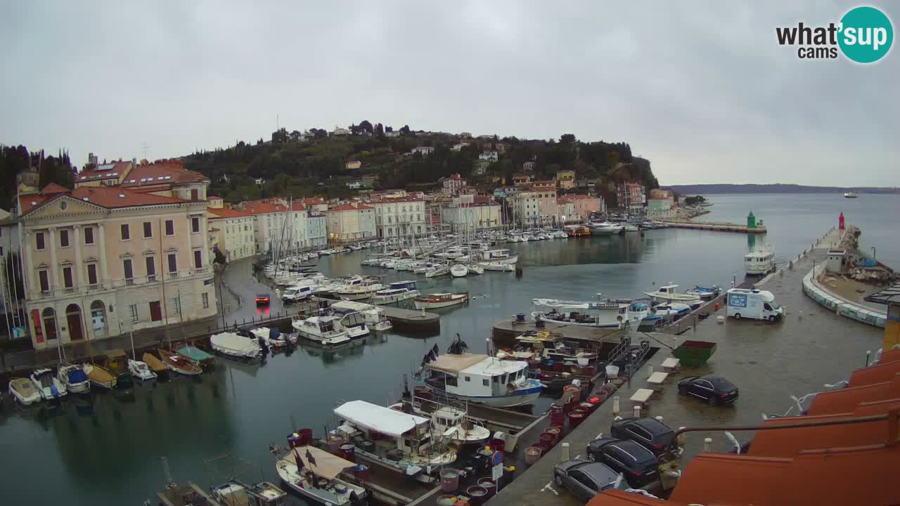 Live webcam da Pirano “Mandrač” – Splendida vista live da Villa Piranesi