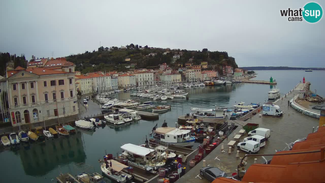 Live-Webcam aus Piran “Mandrač” – Erstaunliche Live-Ansicht von Villa Piranesi