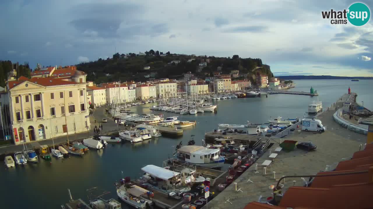 Web kamera uživo iz Pirana “Mandrač” – Nevjerojatan pogled uživo iz Ville Piranesi