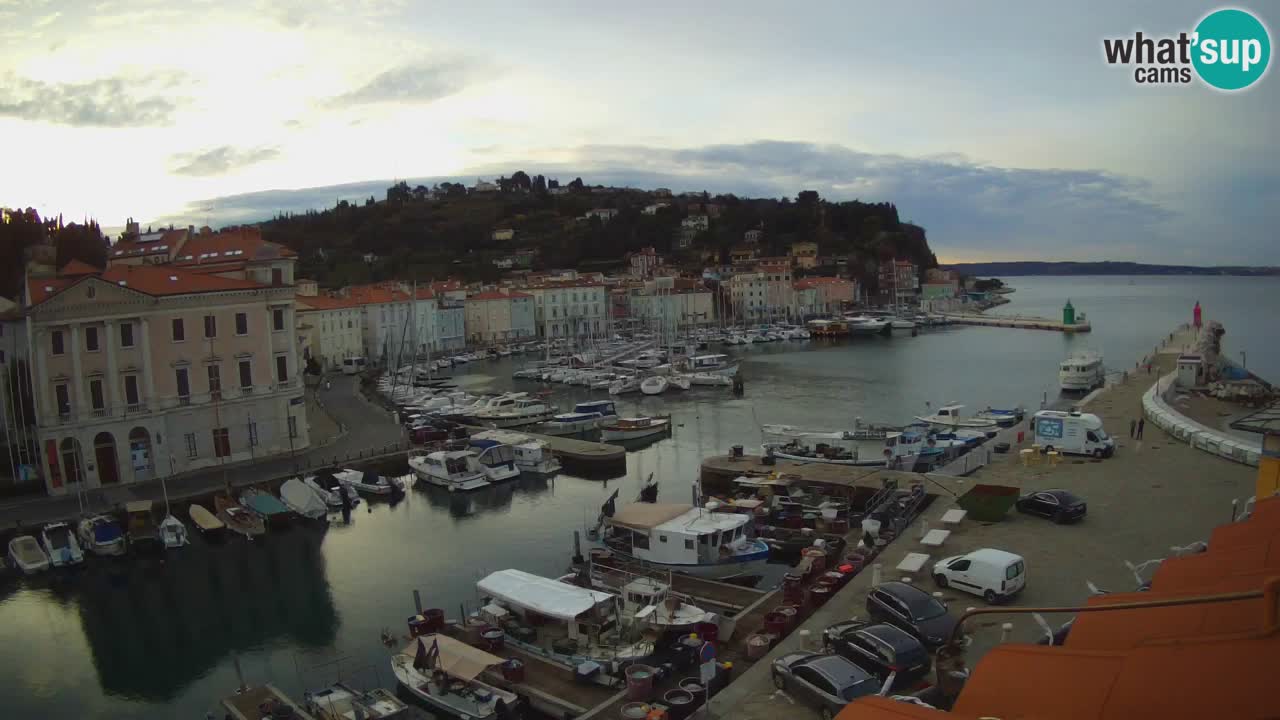 Iz Pirana Spletna kamera v živo “Mandrač” – Neverjeten pogled v živo iz Vile Piranesi