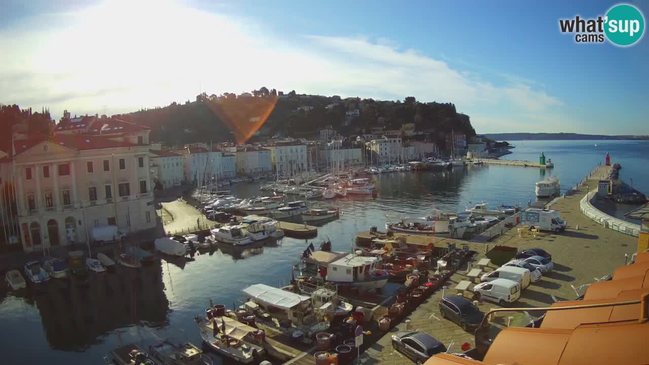 Iz Pirana Spletna kamera v živo “Mandrač” – Neverjeten pogled v živo iz Vile Piranesi