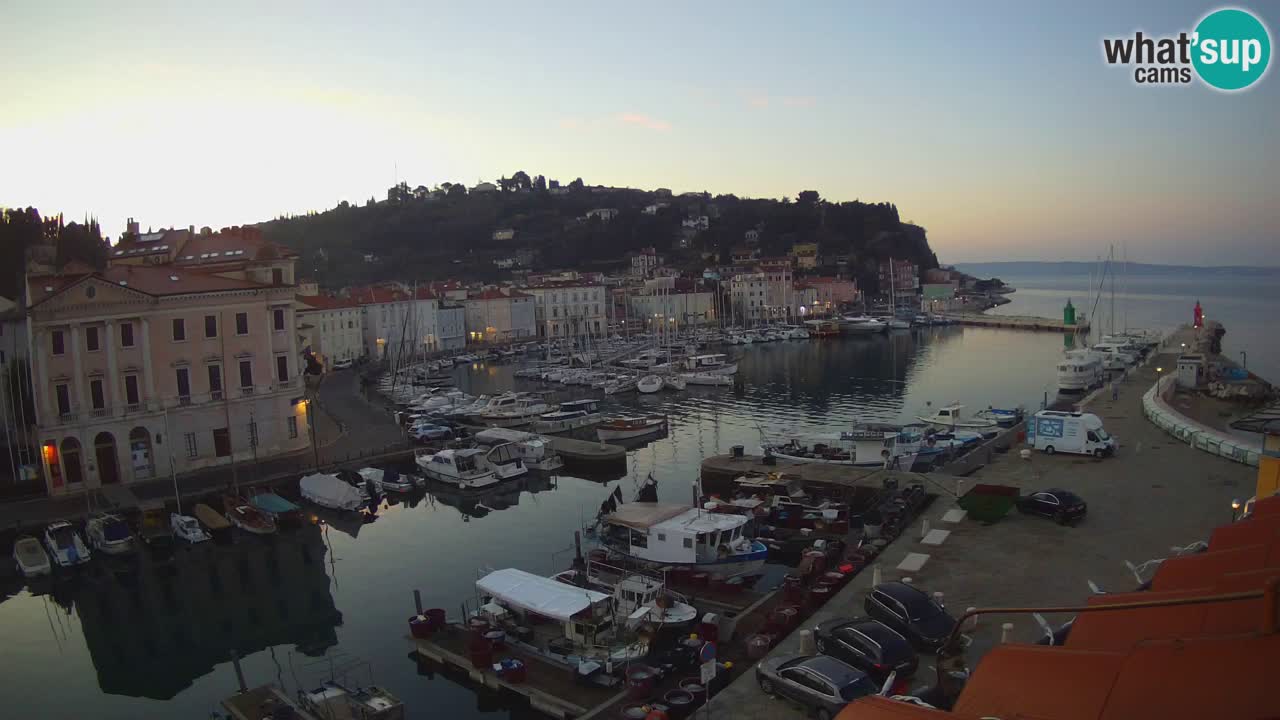 Iz Pirana Spletna kamera v živo “Mandrač” – Neverjeten pogled v živo iz Vile Piranesi