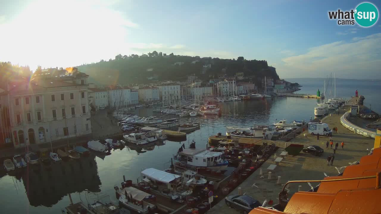 Iz Pirana Spletna kamera v živo “Mandrač” – Neverjeten pogled v živo iz Vile Piranesi