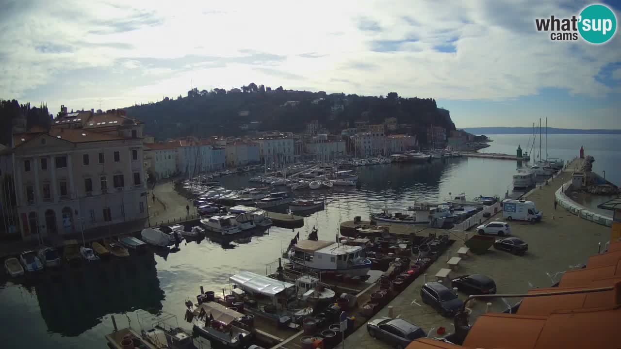 Live webcam da Pirano “Mandrač” – Splendida vista live da Villa Piranesi