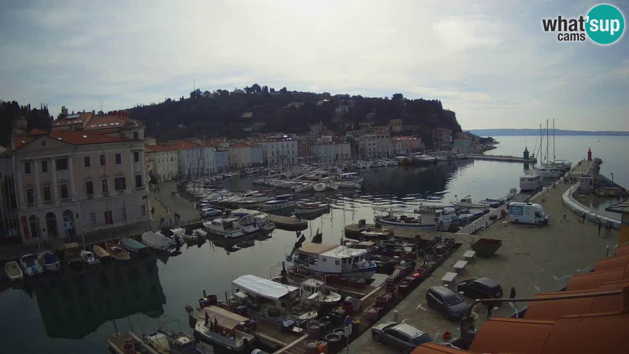 Web kamera uživo iz Pirana “Mandrač” – Nevjerojatan pogled uživo iz Ville Piranesi