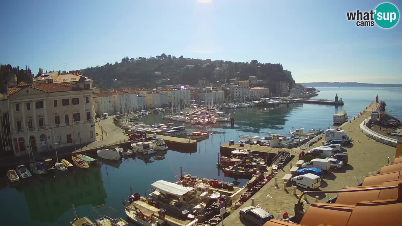 Iz Pirana Spletna kamera v živo “Mandrač” – Neverjeten pogled v živo iz Vile Piranesi