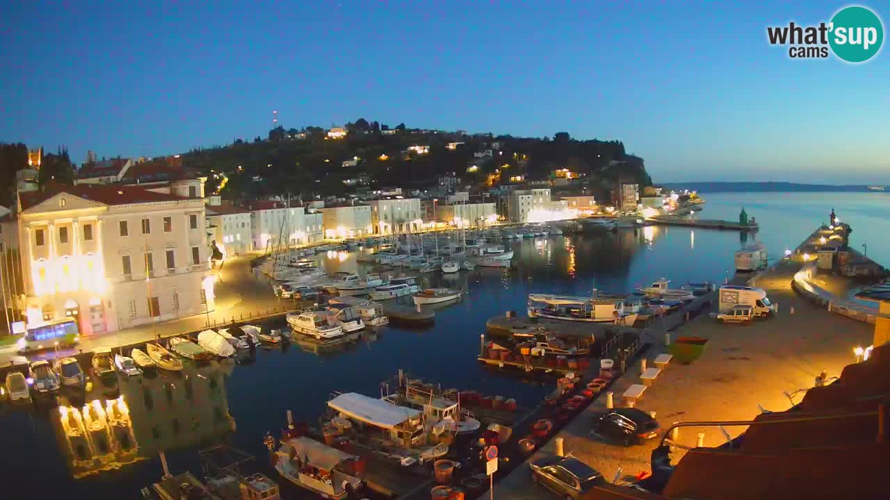 Web kamera uživo iz Pirana “Mandrač” – Nevjerojatan pogled uživo iz Ville Piranesi