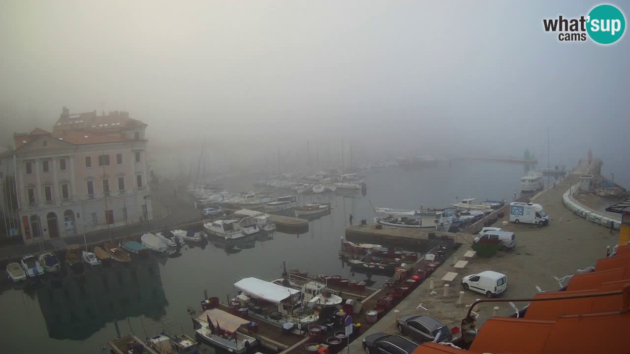 Web kamera uživo iz Pirana “Mandrač” – Nevjerojatan pogled uživo iz Ville Piranesi