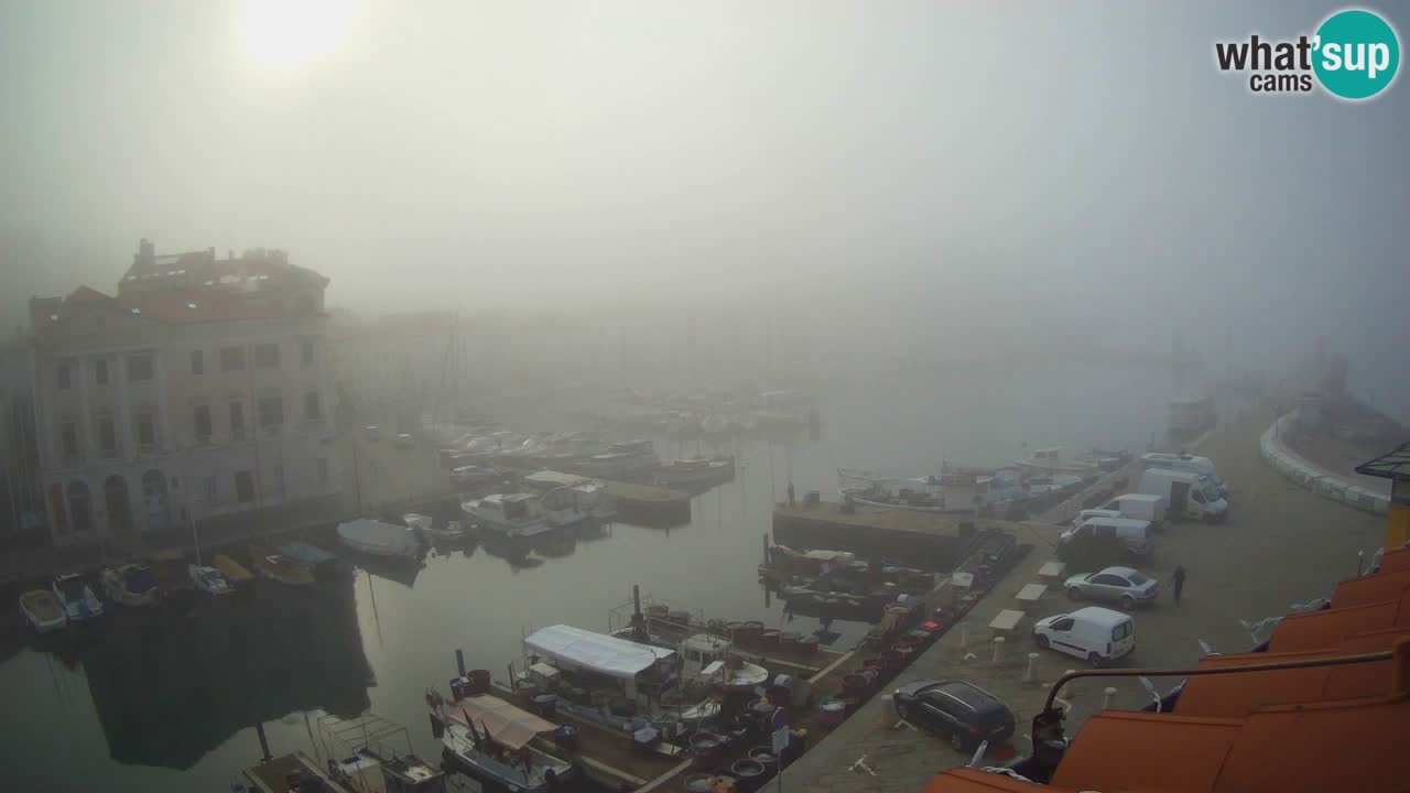 Live-Webcam aus Piran “Mandrač” – Erstaunliche Live-Ansicht von Villa Piranesi