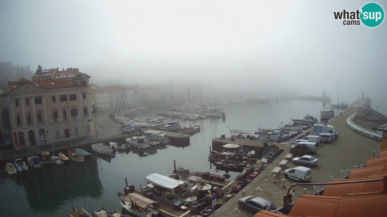 Cámara web en vivo desde Piran “Mandrač” – Increíble vista en vivo desde Villa Piranesi