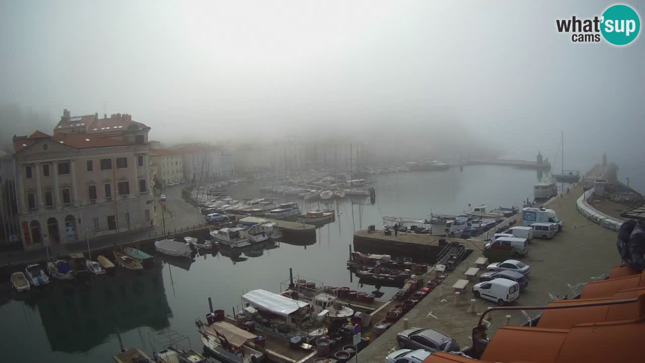 Web kamera uživo iz Pirana “Mandrač” – Nevjerojatan pogled uživo iz Ville Piranesi