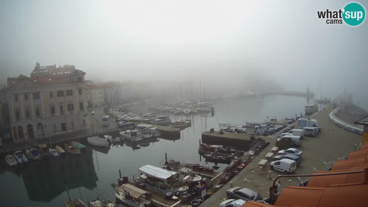 Cámara web en vivo desde Piran “Mandrač” – Increíble vista en vivo desde Villa Piranesi
