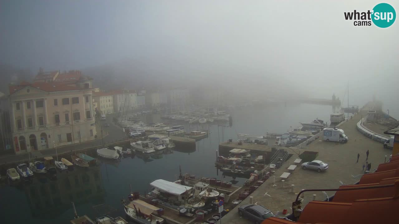 Webcam en direct de Piran “Mandrač” – Incroyable vue en direct de la Villa Piranesi