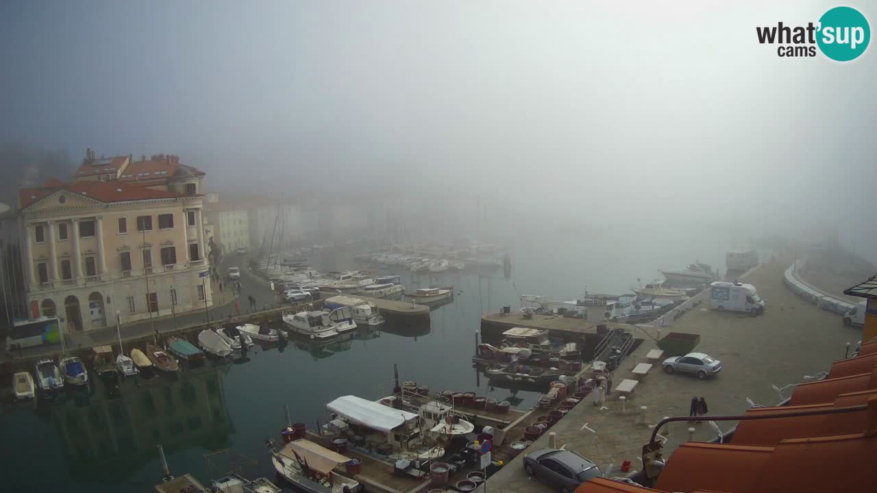 Webcam en direct de Piran “Mandrač” – Incroyable vue en direct de la Villa Piranesi