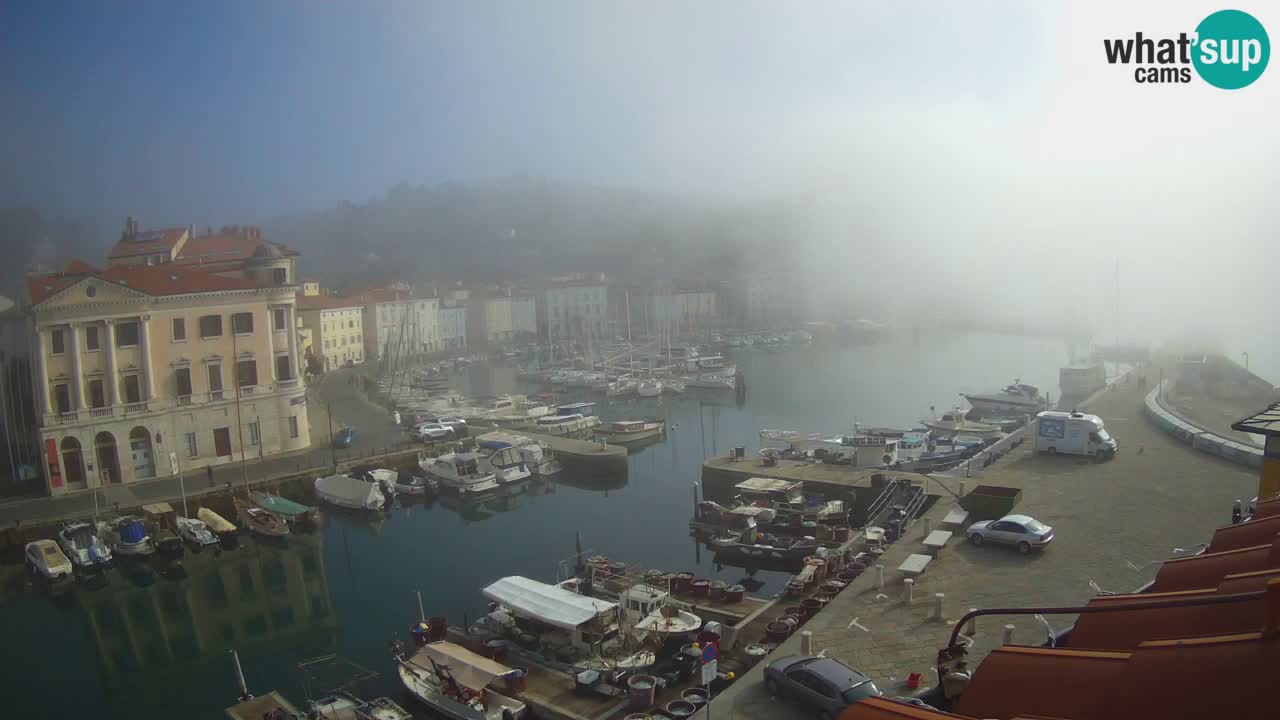 Live webcam da Pirano “Mandrač” – Splendida vista live da Villa Piranesi
