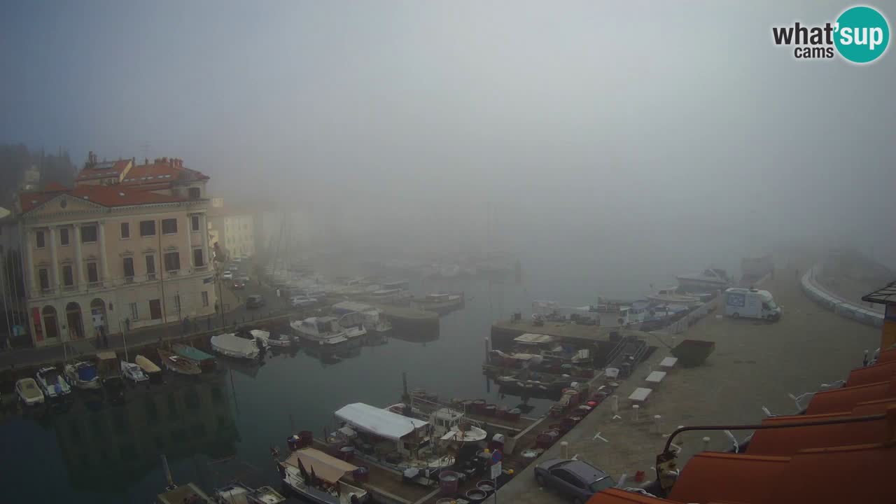 Live webcam da Pirano “Mandrač” – Splendida vista live da Villa Piranesi