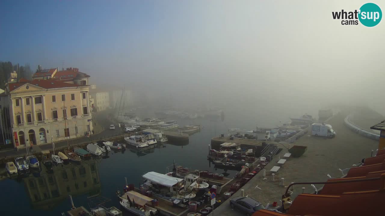 Iz Pirana Spletna kamera v živo “Mandrač” – Neverjeten pogled v živo iz Vile Piranesi