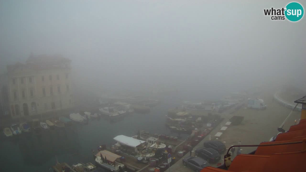 Live webcam from Piran “Mandrač” – Amazing live view from Villa Piranesi