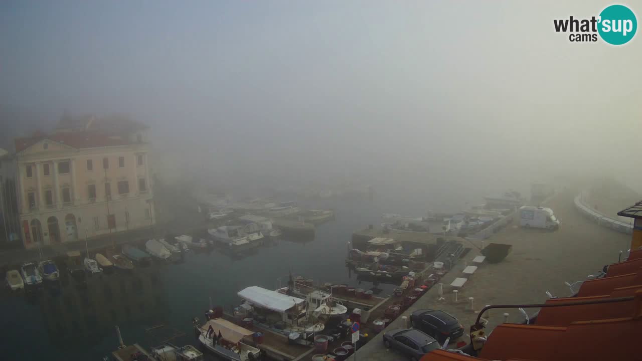 Live webcam da Pirano “Mandrač” – Splendida vista live da Villa Piranesi