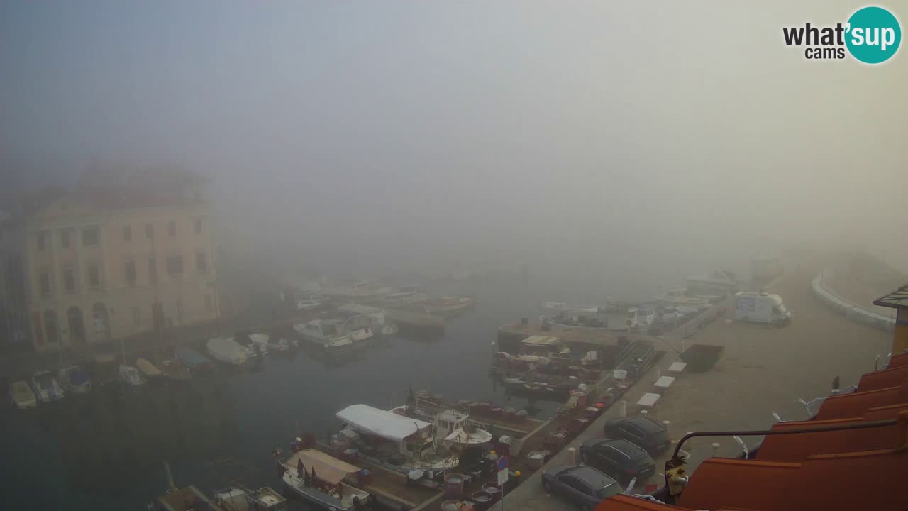 Web kamera uživo iz Pirana “Mandrač” – Nevjerojatan pogled uživo iz Ville Piranesi