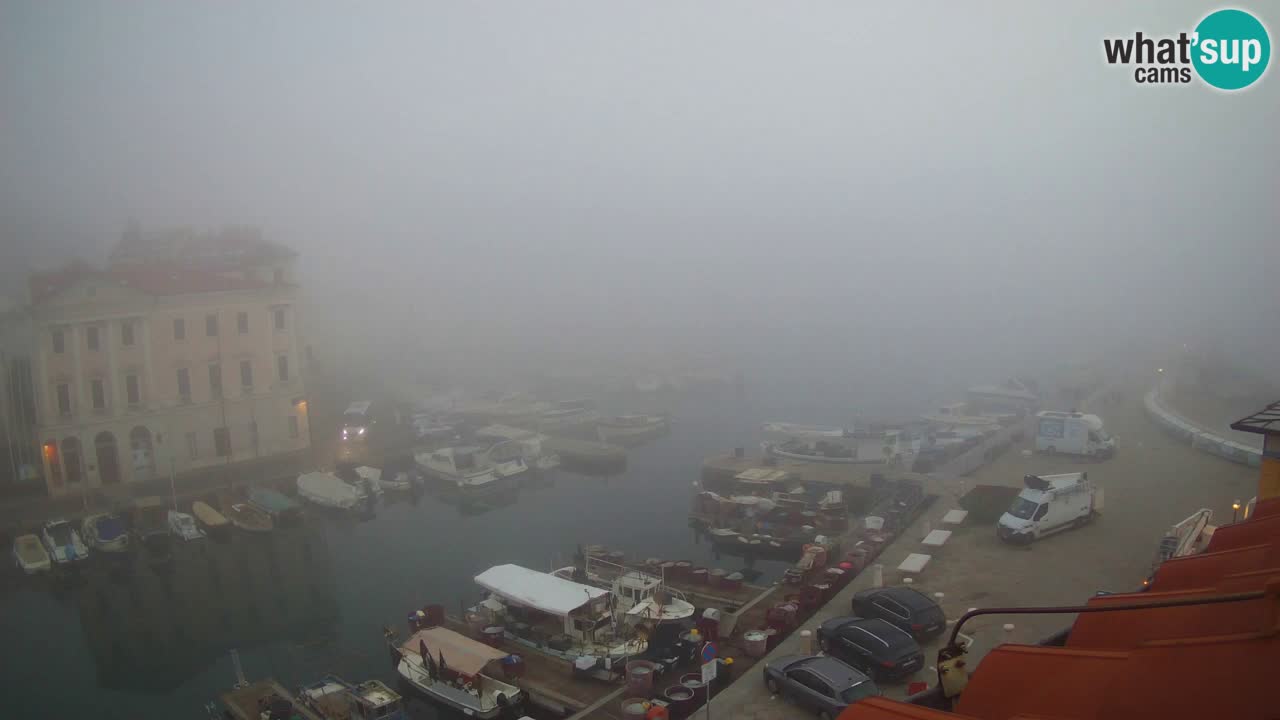 Iz Pirana Spletna kamera v živo “Mandrač” – Neverjeten pogled v živo iz Vile Piranesi