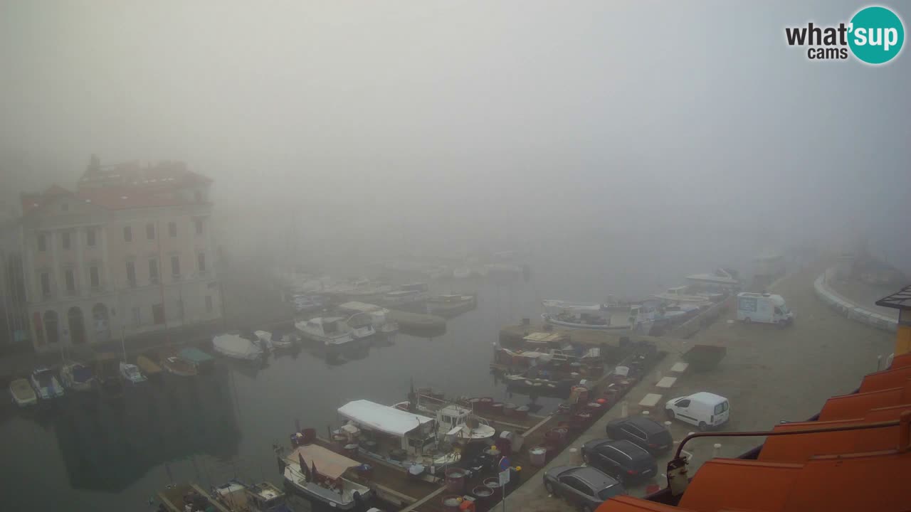 Live webcam da Pirano “Mandrač” – Splendida vista live da Villa Piranesi